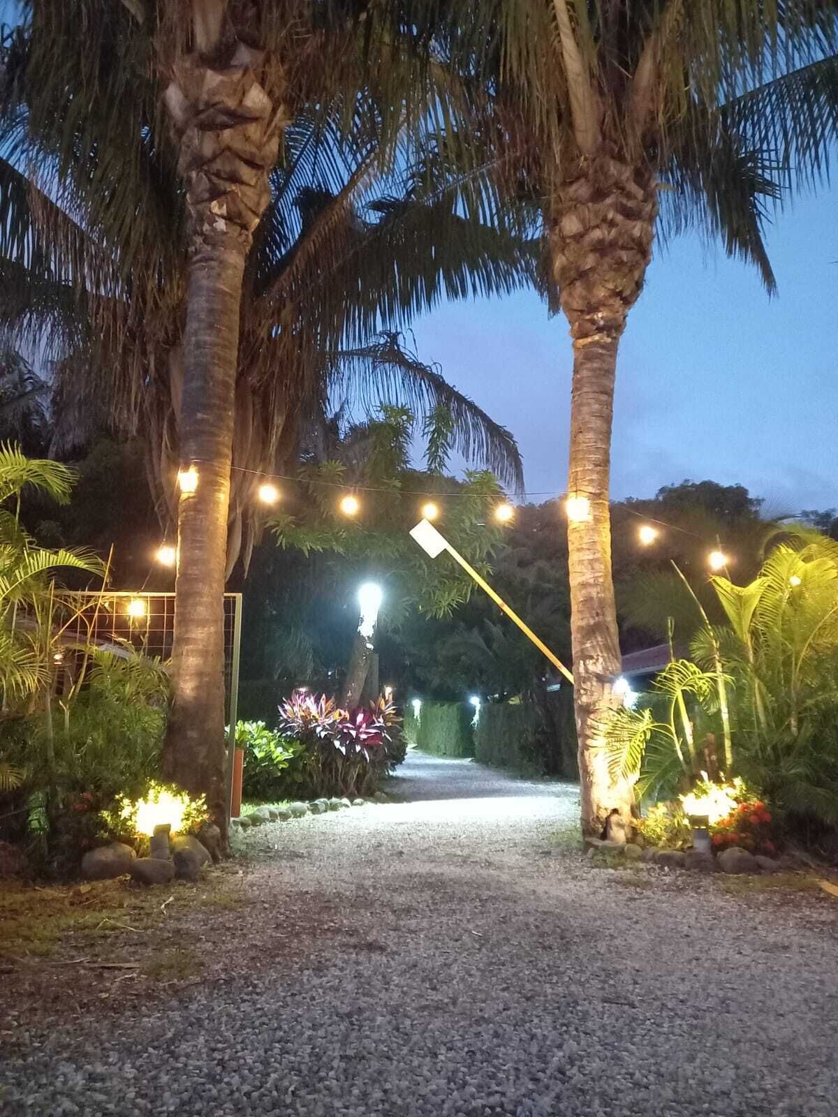 A pathway flanked by palm trees and illuminated by string lights, leading to a building with a metal gate.