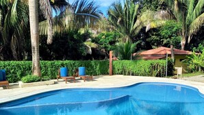 Une piscine d’un bleu éclatant, avec des chaises longues et des palmiers en arrière-plan.