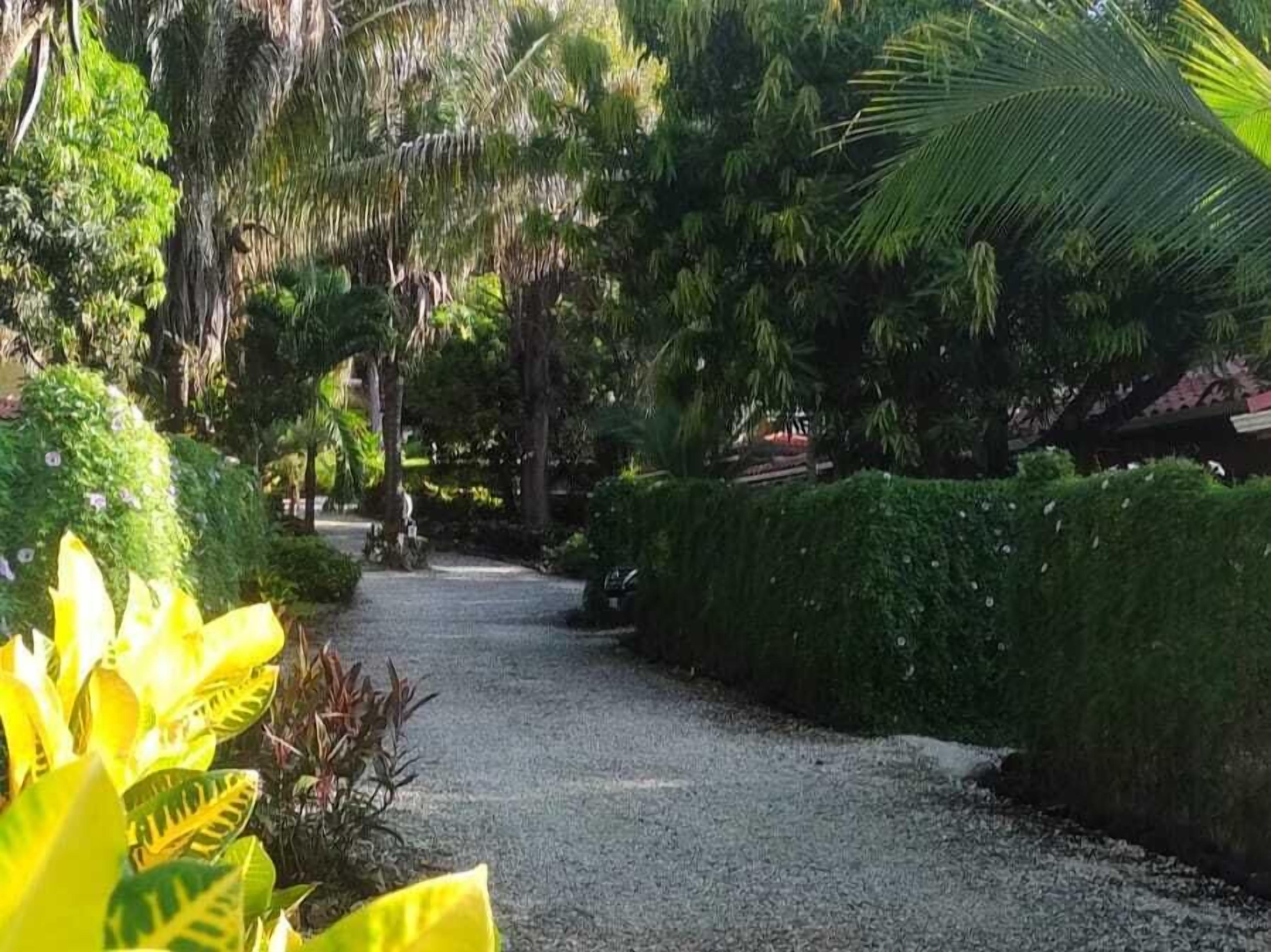 Un sentier qui traverse un jardin où l’on trouve différentes plantes et différents arbres.