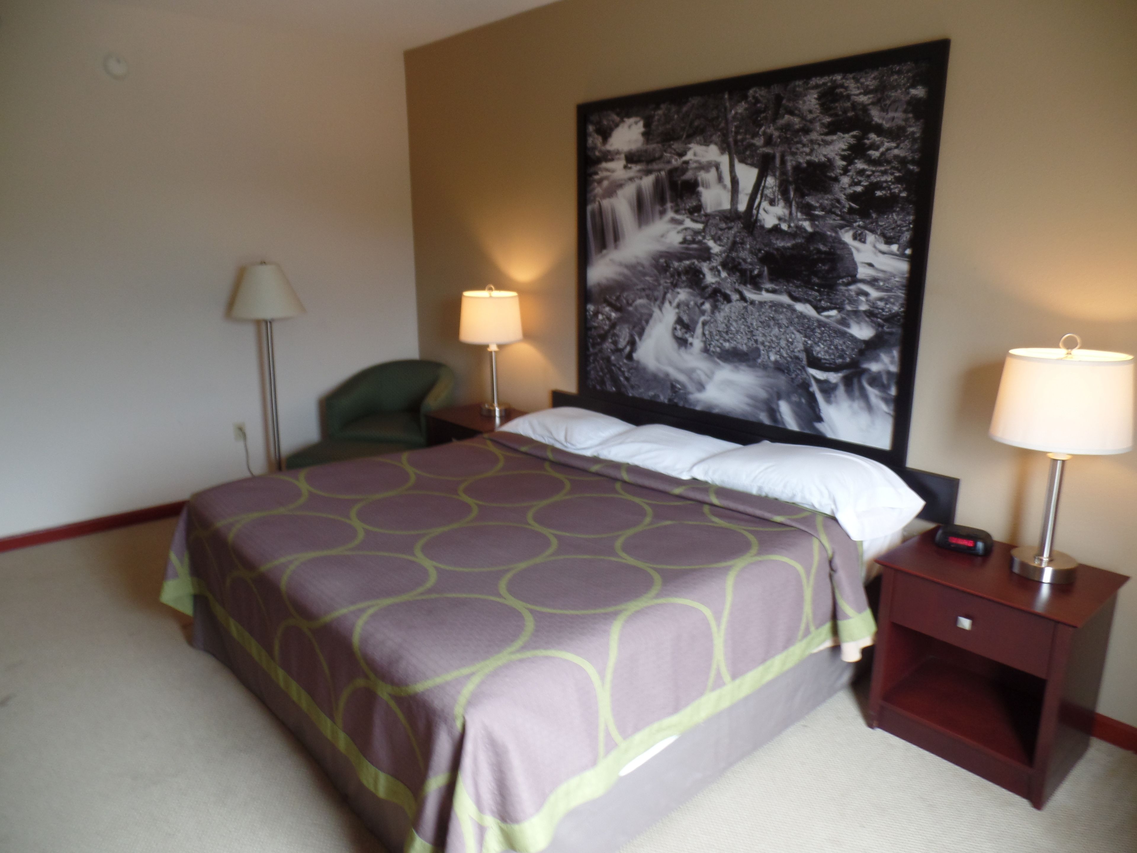 Studio Suite, 1 King Bed, Non Smoking | View from room