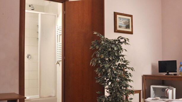 A hotel room with a shower, a wooden partition, a potted plant, a bed with a white comforter, and a television on a wooden stand. - Gialel Guesthouse (Rome)