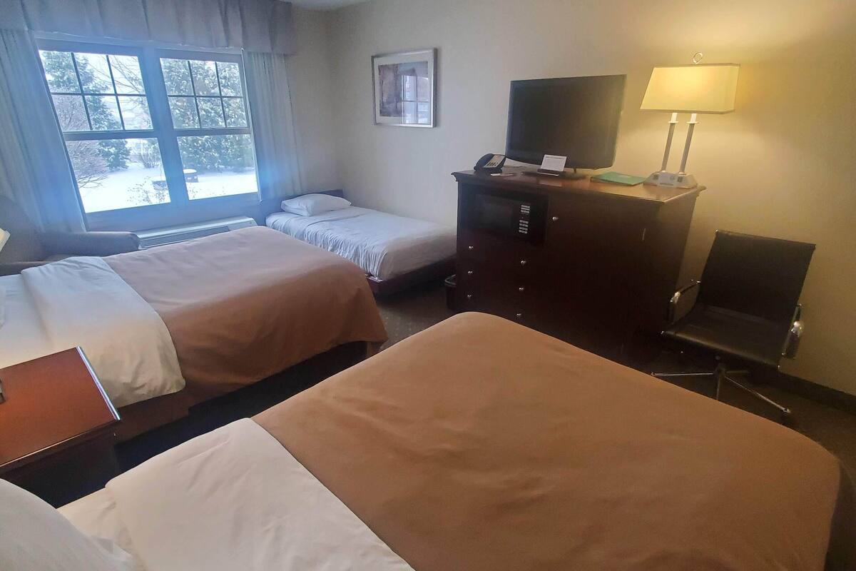 standard double room, 2 double beds | room amenity