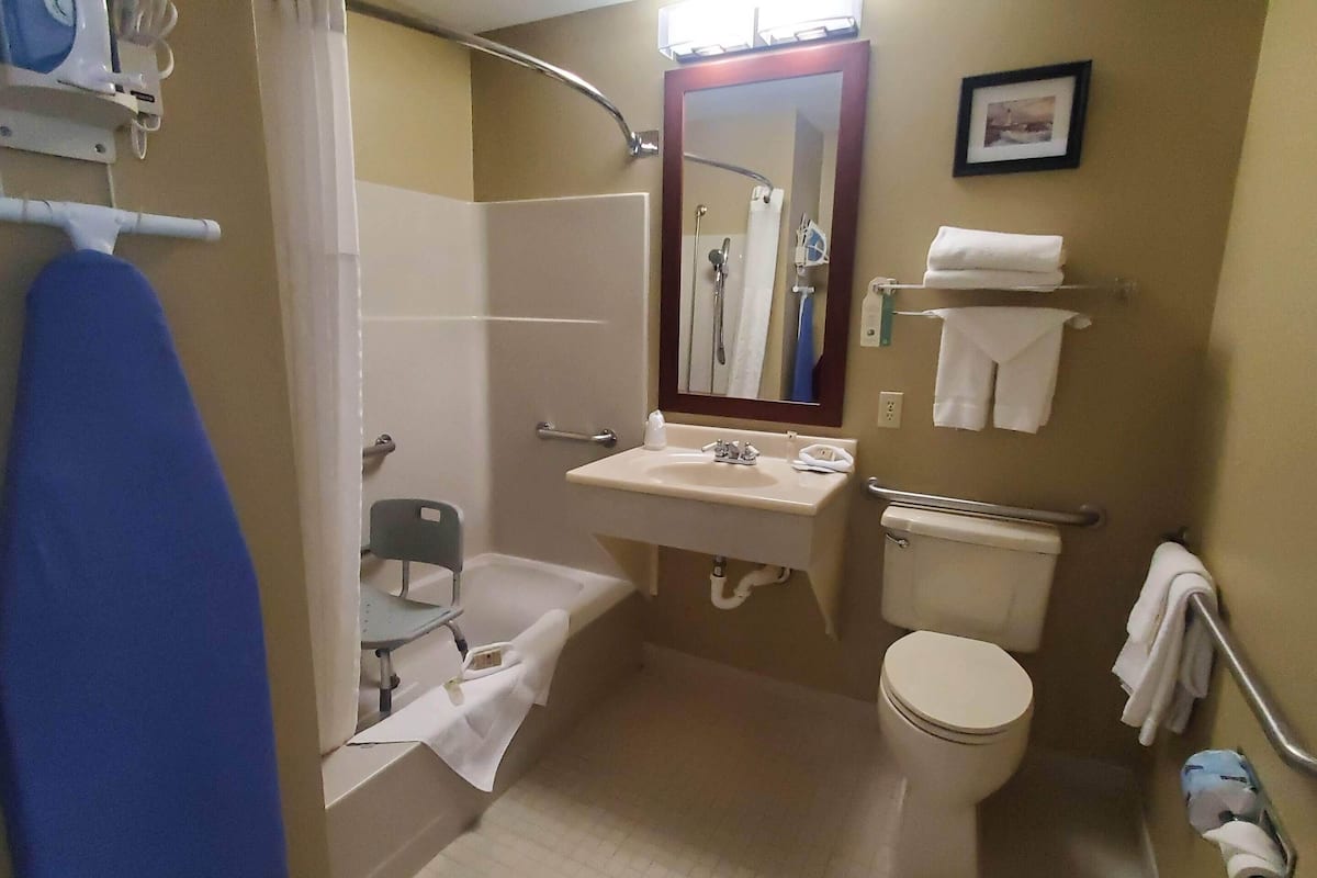 combined shower/bathtub, free toiletries, hair dryer, towels