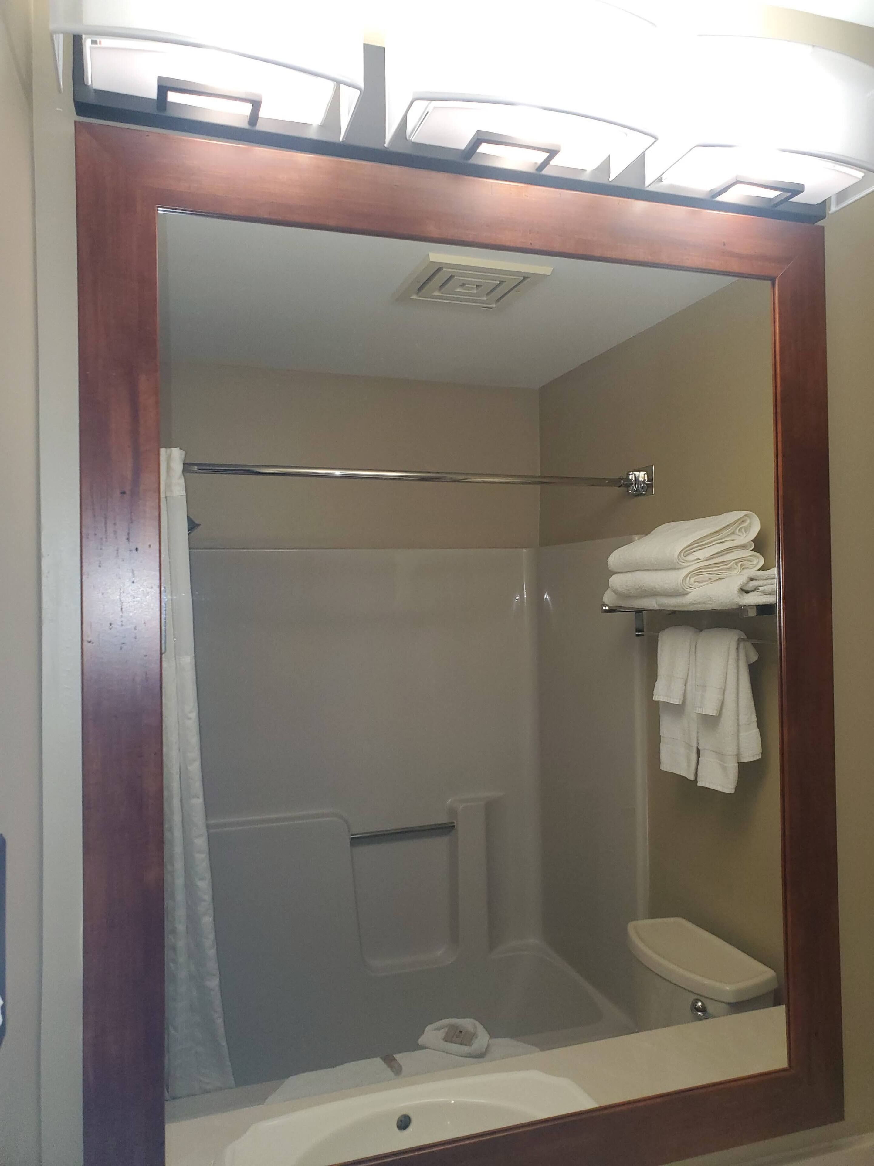 standard room, 1 king bed | bathroom shower