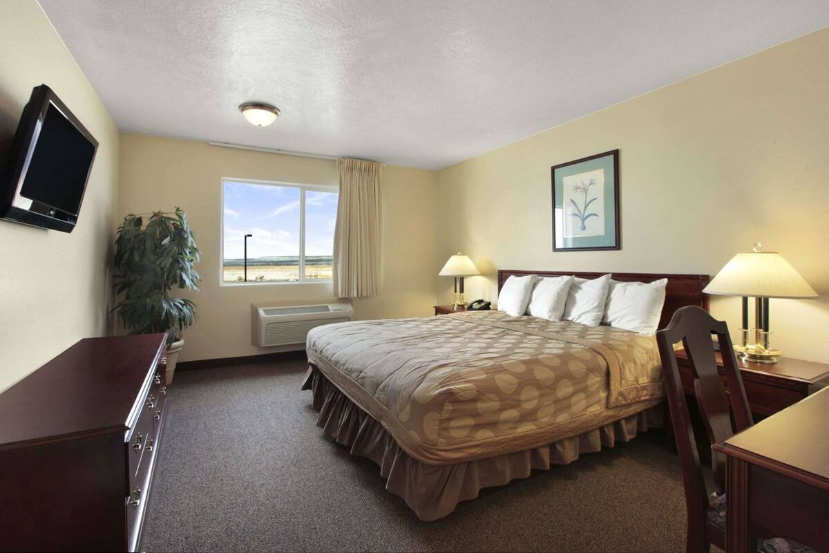 A hotel room with a bed, bedside lamps, a desk, a chair, a television, a window with a view, and a plant.