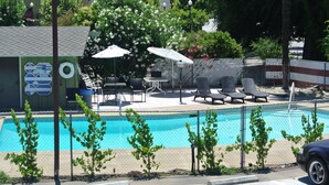 A swimming pool with lounge chairs and umbrellas, surrounded by a fence and small trees.