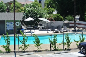 Outdoor pool, sun loungers