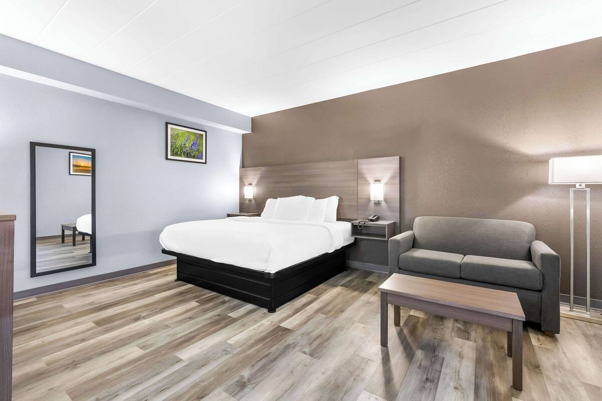 A modern hotel room with a large bed, a grey sofa, a small table, and a nightstand with a lamp.