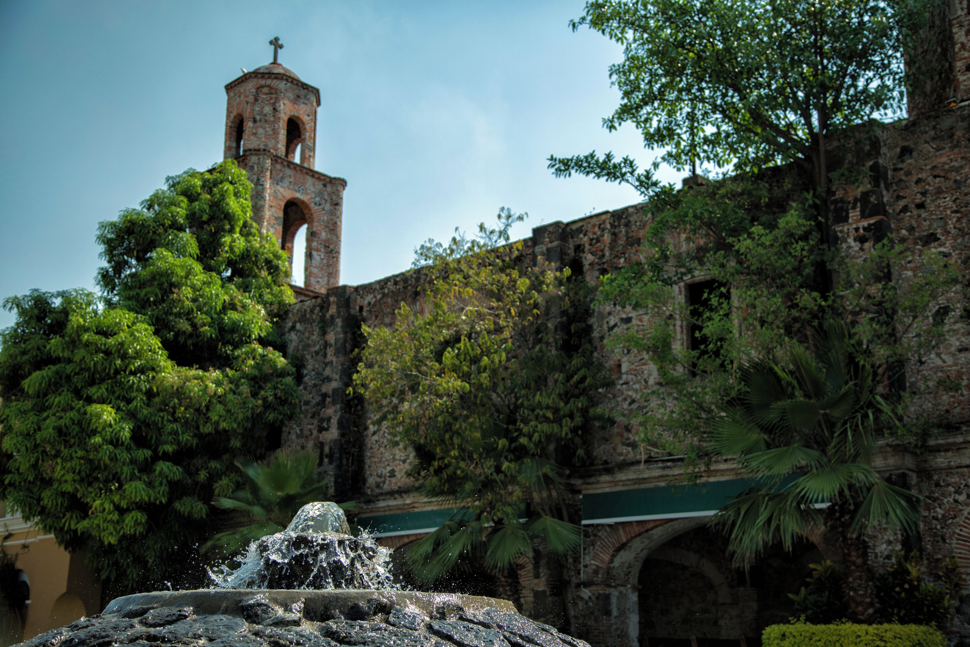 A historic building with a bell tower, lush greenery, and a fountain.