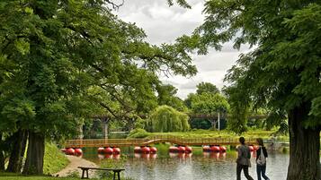 Um parque com lago, uma ponte de madeira e barreiras flutuantes vermelhas.