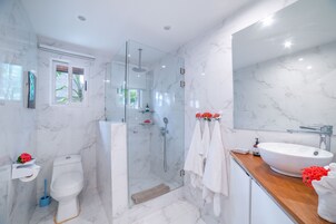 Deluxe Villa | Bathroom | Shower, rainfall showerhead, free toiletries, towels