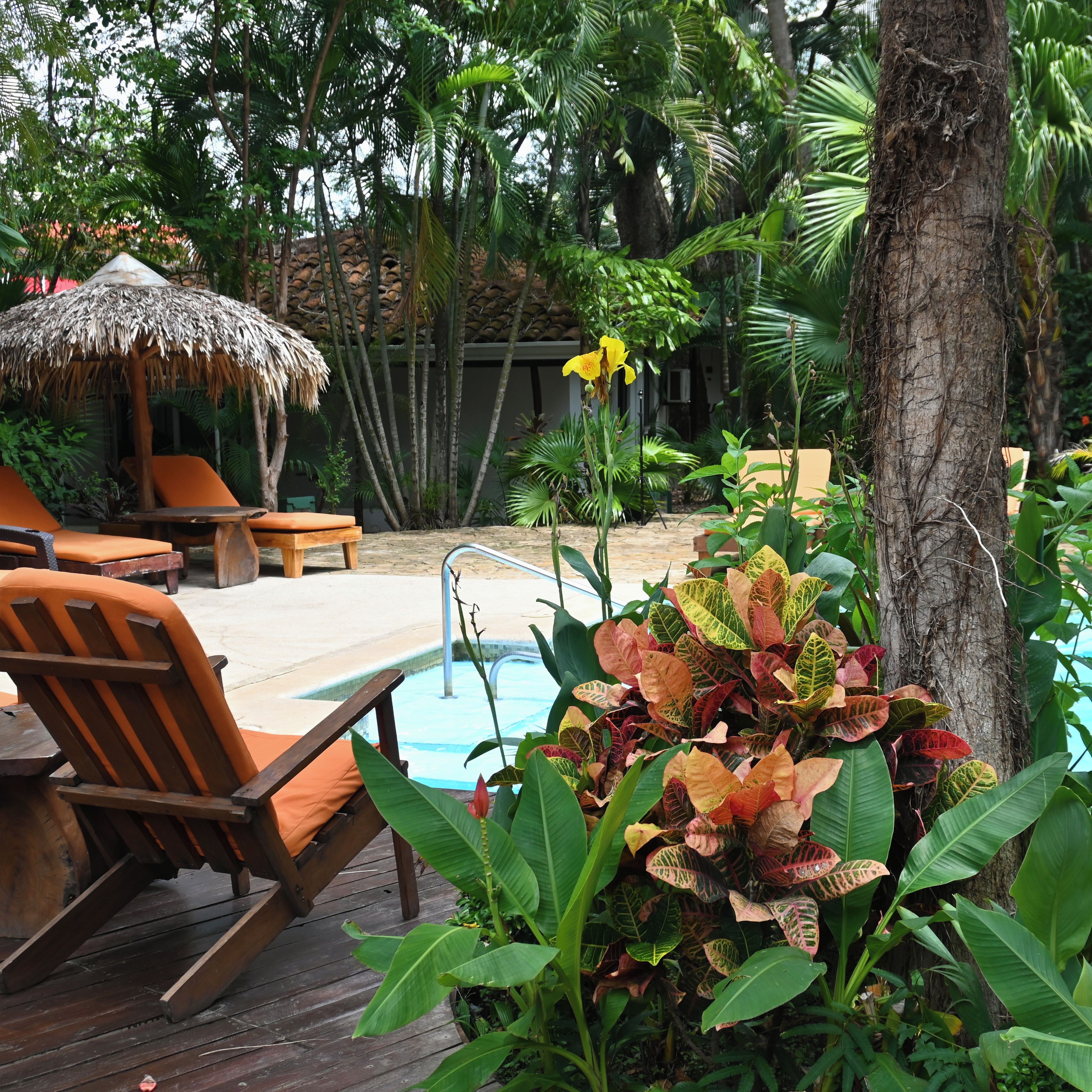 Un espace aménagé au bord de la piscine, avec des chaises longues, un parasol en chaume et des plantes tropicales.