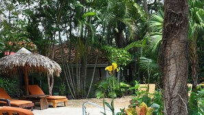 A poolside area with wooden lounge chairs, a thatched umbrella, and tropical plants. - Hotel Pasatiempo (Tamarindo)