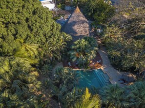 An aerial view of a resort with a swimming pool surrounded by palm trees and a thatched-roof structure. - Hotel Pasatiempo (Tamarindo)