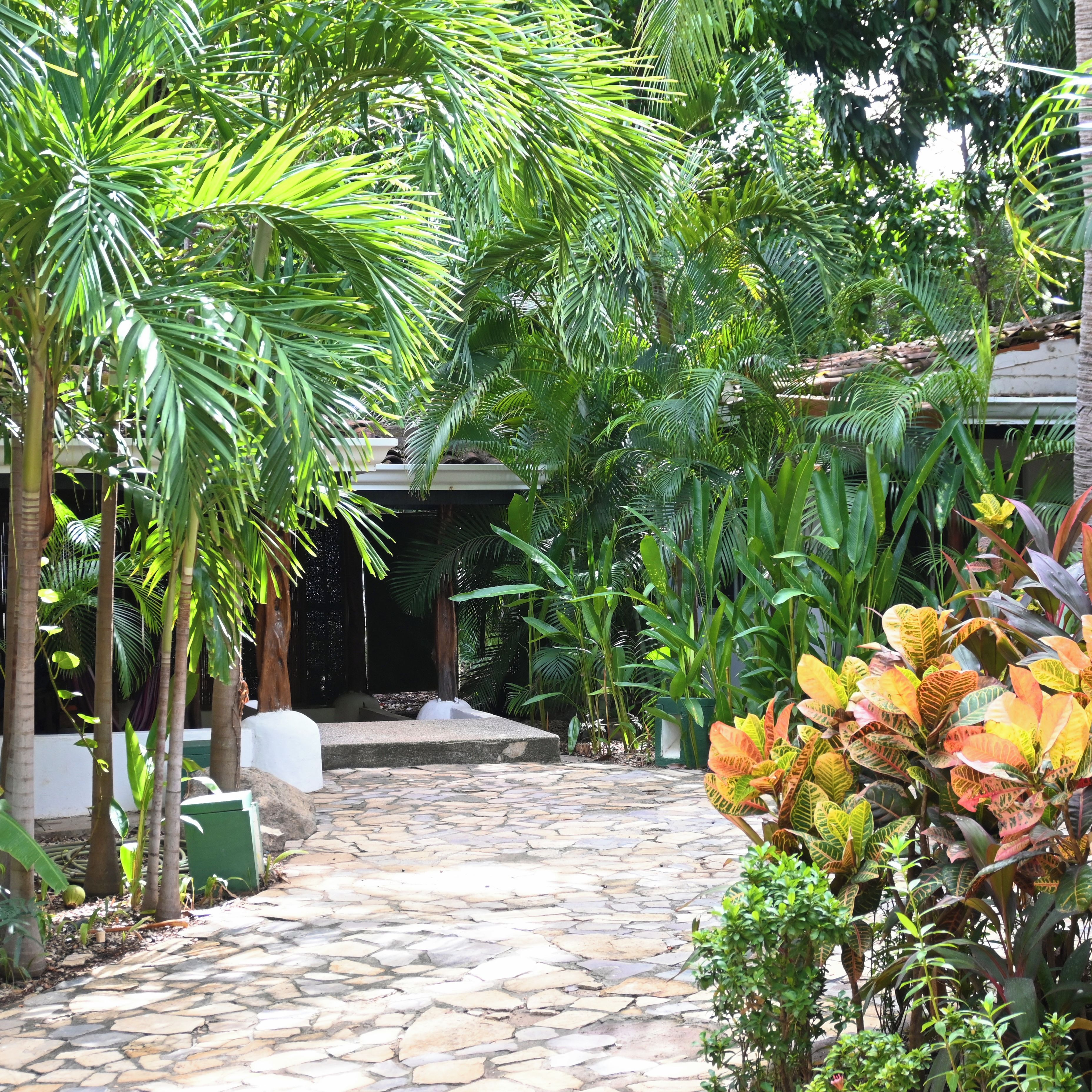 Un sendero de piedra serpentea a través de un exuberante jardín con diversas plantas tropicales y una edificación al fondo.