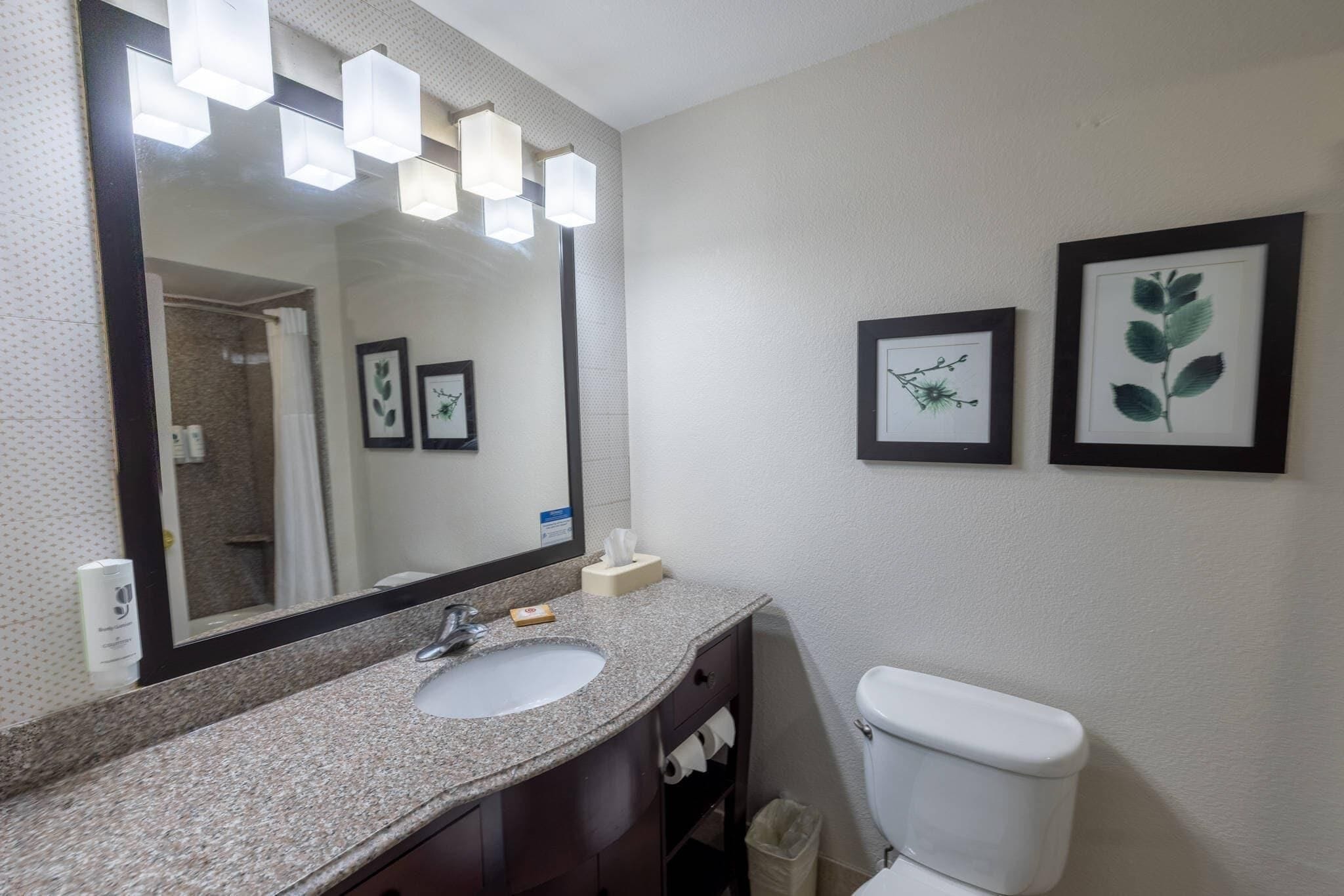 A bathroom with a granite countertop sink, a large mirror with lights, a toilet, and framed botanical prints on the wall.
