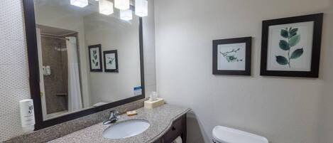 A bathroom with a granite countertop sink, a large mirror with lights, a toilet, and framed botanical prints on the wall.