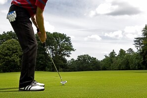 Golf - Country Inn & Suites by Radisson, St. Petersburg - Clearwater, FL (Pinellas Park)