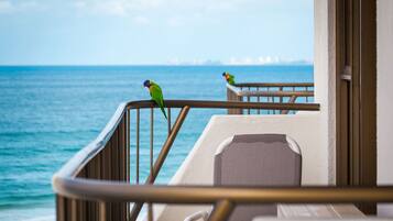 Quang cảnh nhìn từ nơi lưu trú