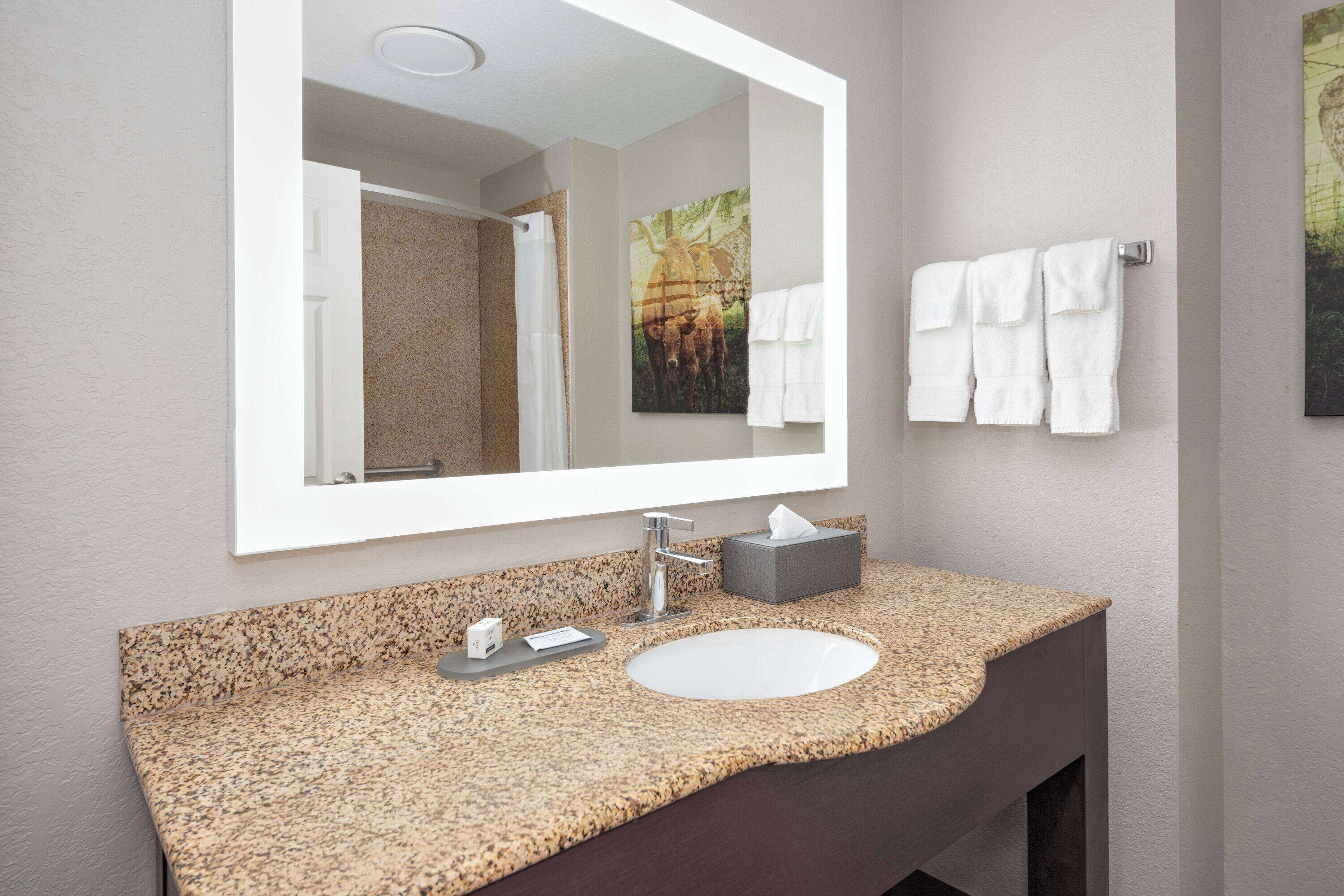 combined shower/bathtub, free toiletries, hair dryer, towels