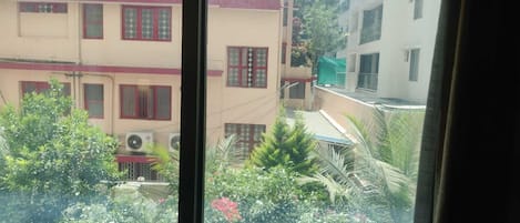 A view through a window of a residential area with multiple buildings, some with red window frames, and various green plants and trees.