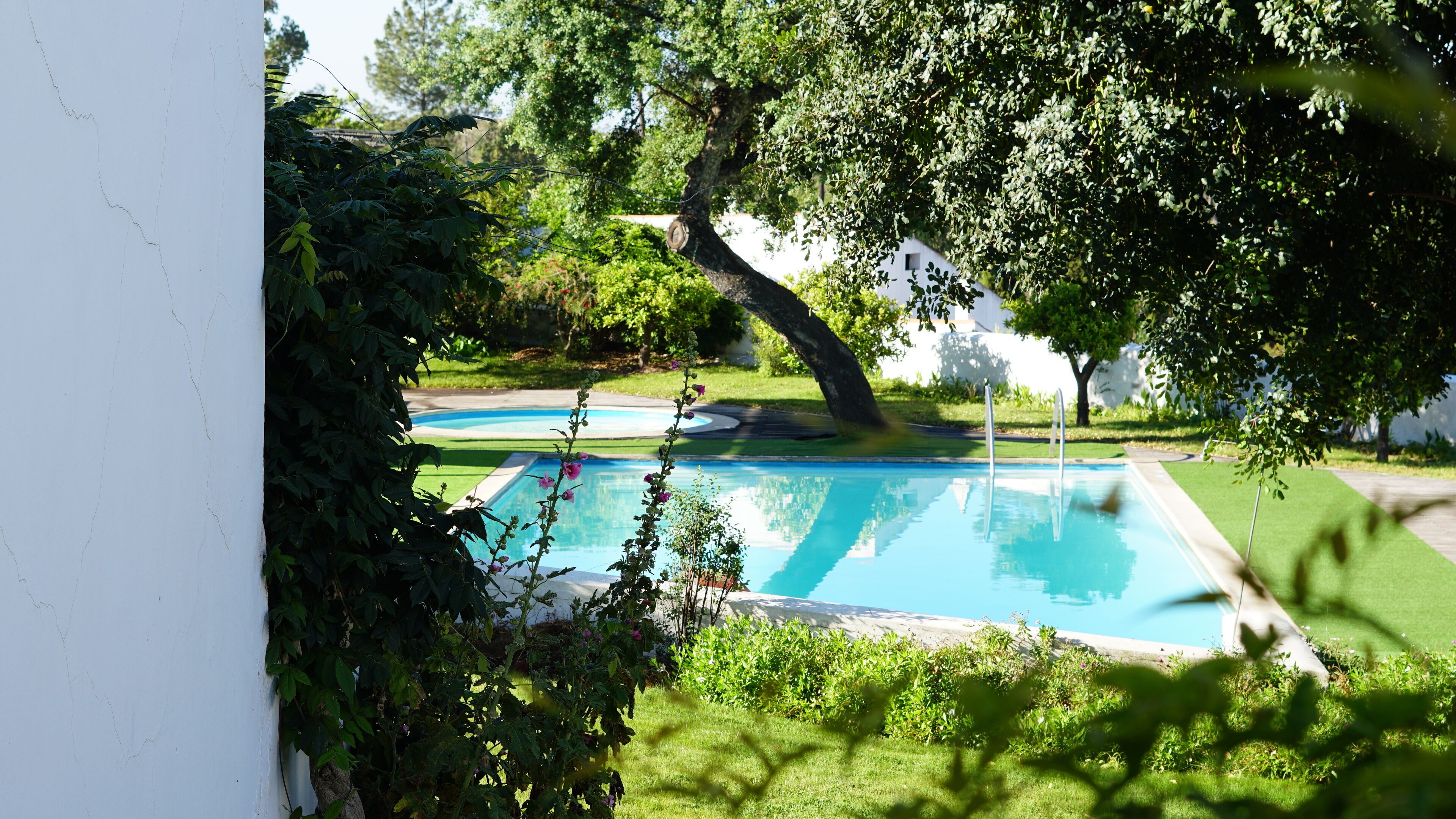 outdoor pool, pool loungers