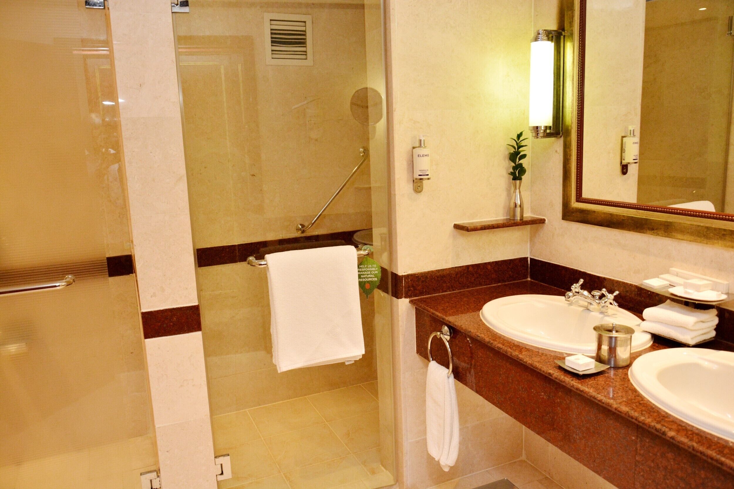 A bathroom with two sinks, a mirror, and a shower.