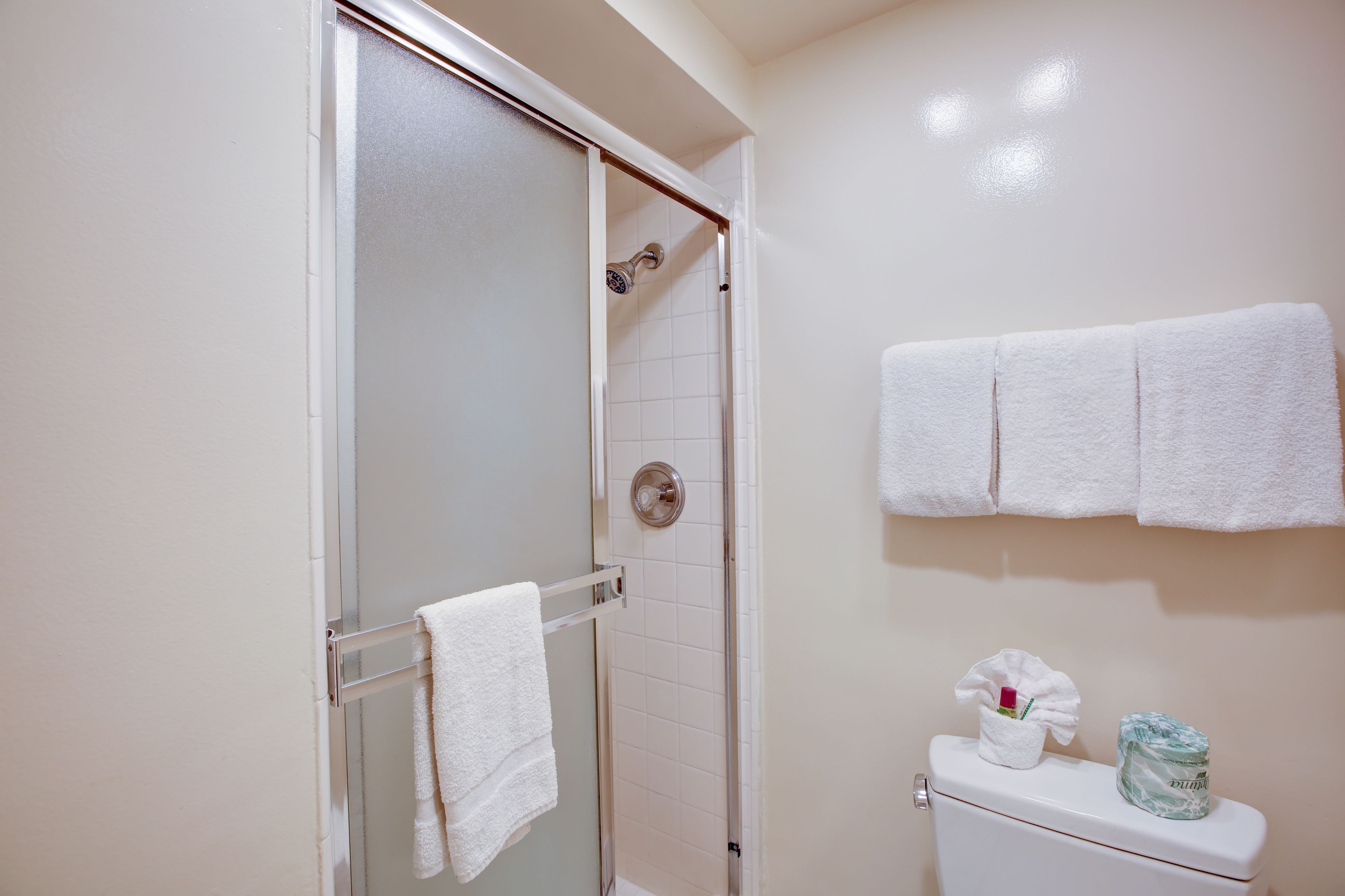 shower, hydromassage showerhead, free toiletries, hair dryer