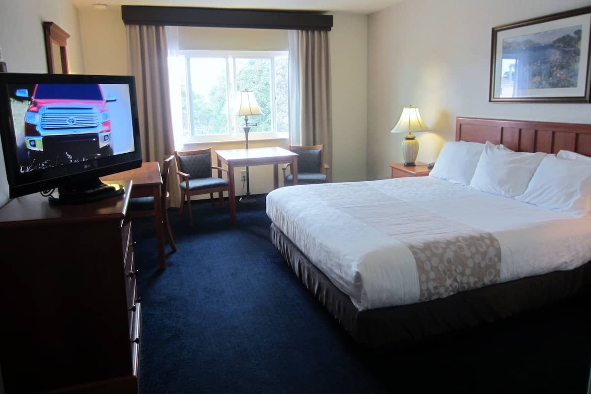 A hotel room with a bed, desk, chair, television, lamp, and a window with curtains.