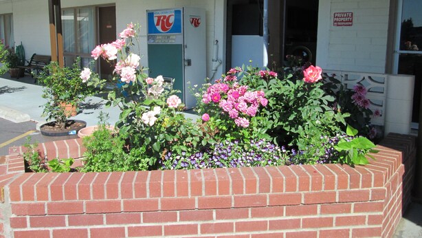 Um edifício com placa indicando propriedade privada, uma porta e um canteiro de flores com diversas flores.