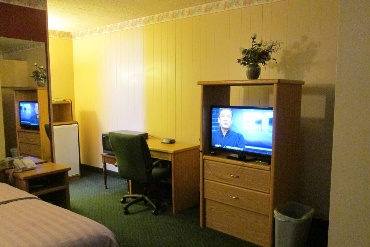 A hotel room with a bed, a desk with a computer, a chair, a TV, and a small plant on a shelf.