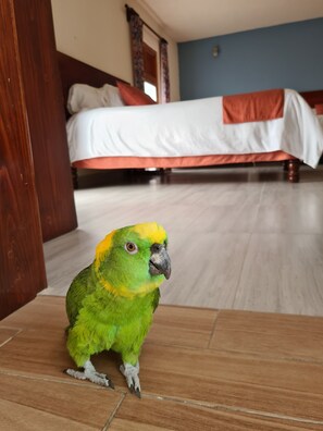 Triple Room | In-room safe, iron/ironing board, free WiFi, bed sheets