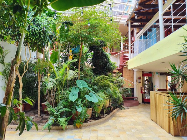 Terrace/patio - Hotel Barrio Antiguo (San Cristóbal de las Casas)