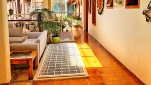 A sunlit hallway with a skylight, potted plants, and a view of the outside. - Hotel Barrio Antiguo (San Cristóbal de las Casas)