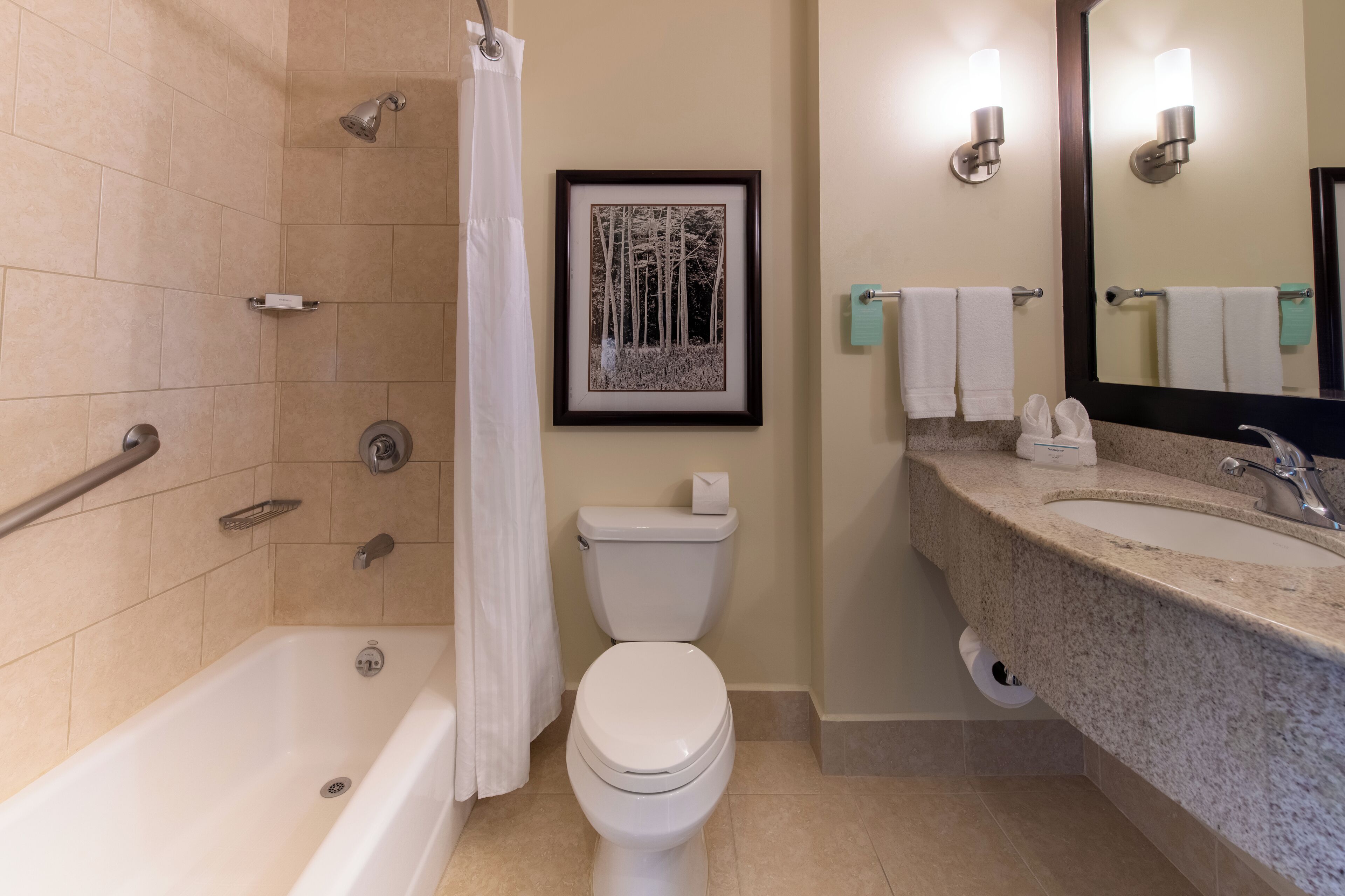 evolution, room, 1 king bed, accessible | bathroom | free toiletries, hair dryer, towels