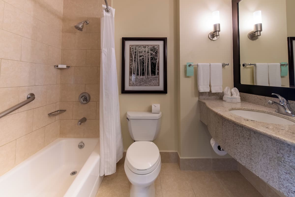 evolution, room, 1 king bed, accessible | bathroom | free toiletries, hair dryer, towels