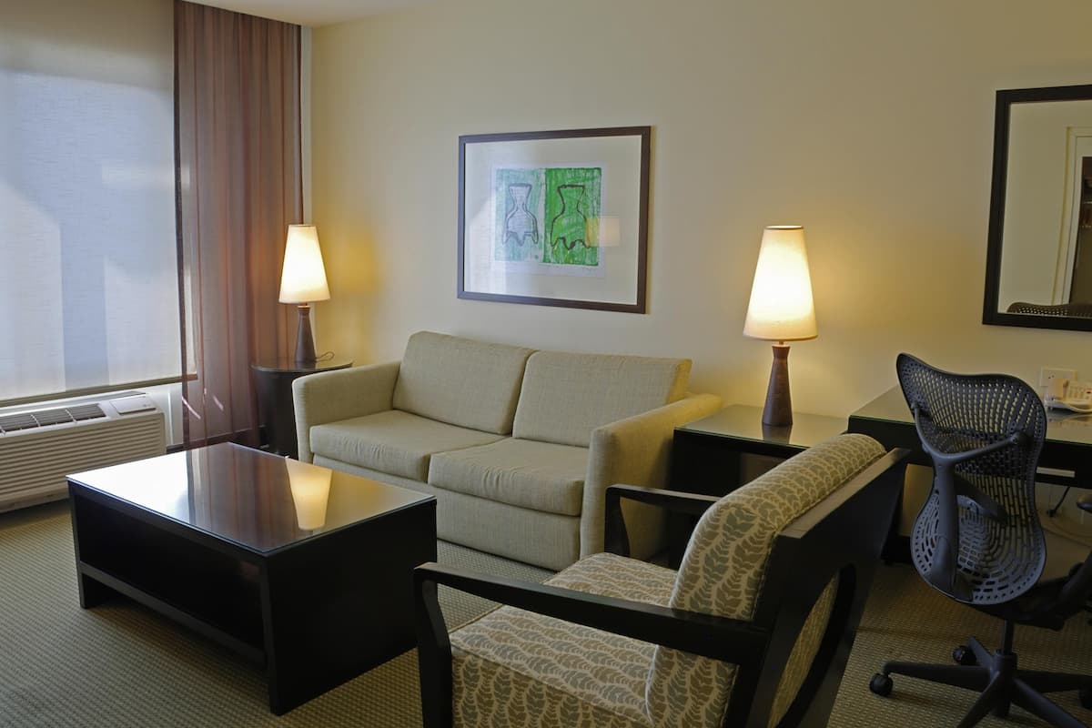 Habitación, 1 cama de matrimonio grande | Zona de estar | Una televisión de pantalla plana, una estación de conexión para MP3