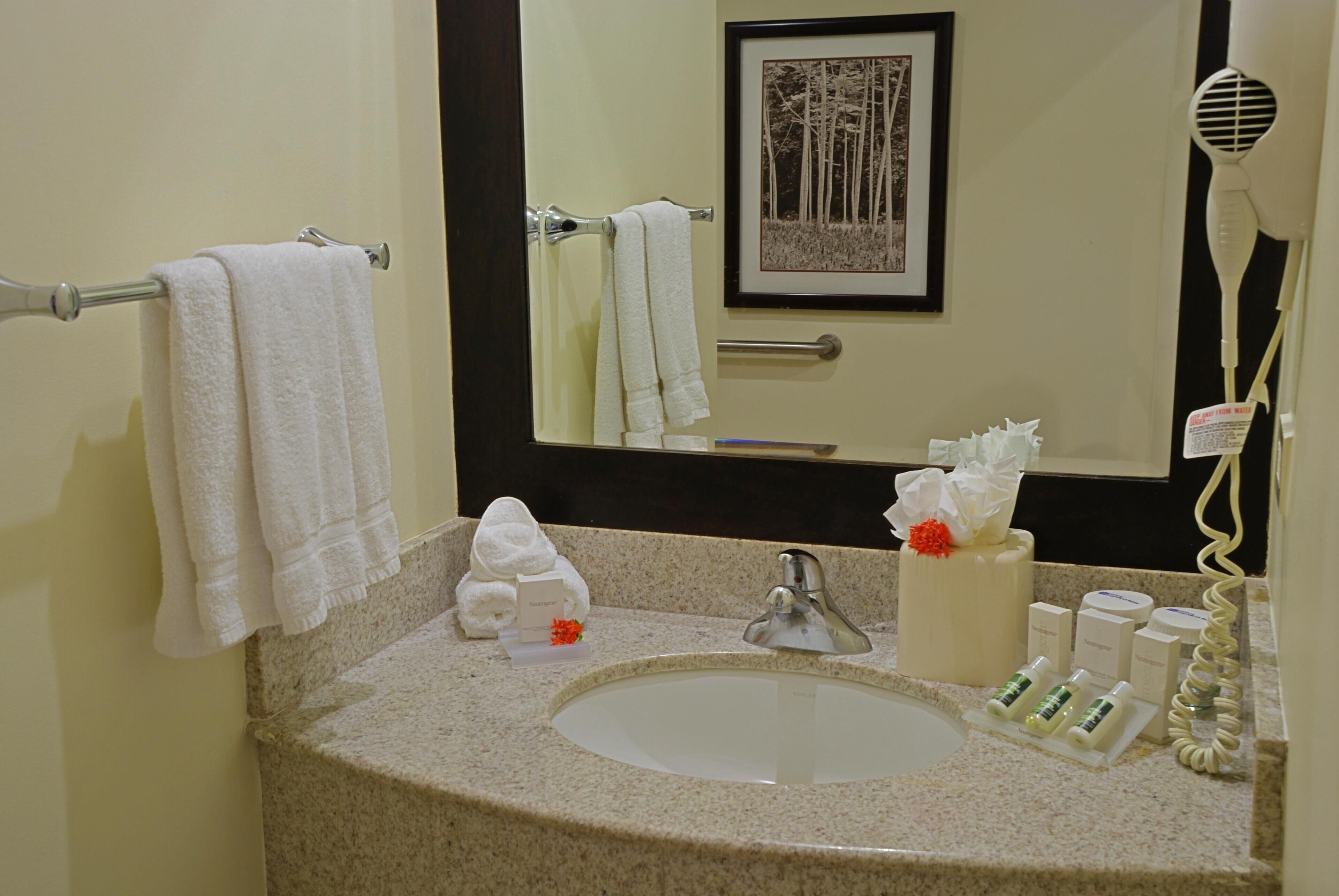 Evolution, Habitación, 1 cama de matrimonio grande, accesible para personas con discapacidad | Baño | Artículos de higiene personal gratuitos, secador de pelo y toallas