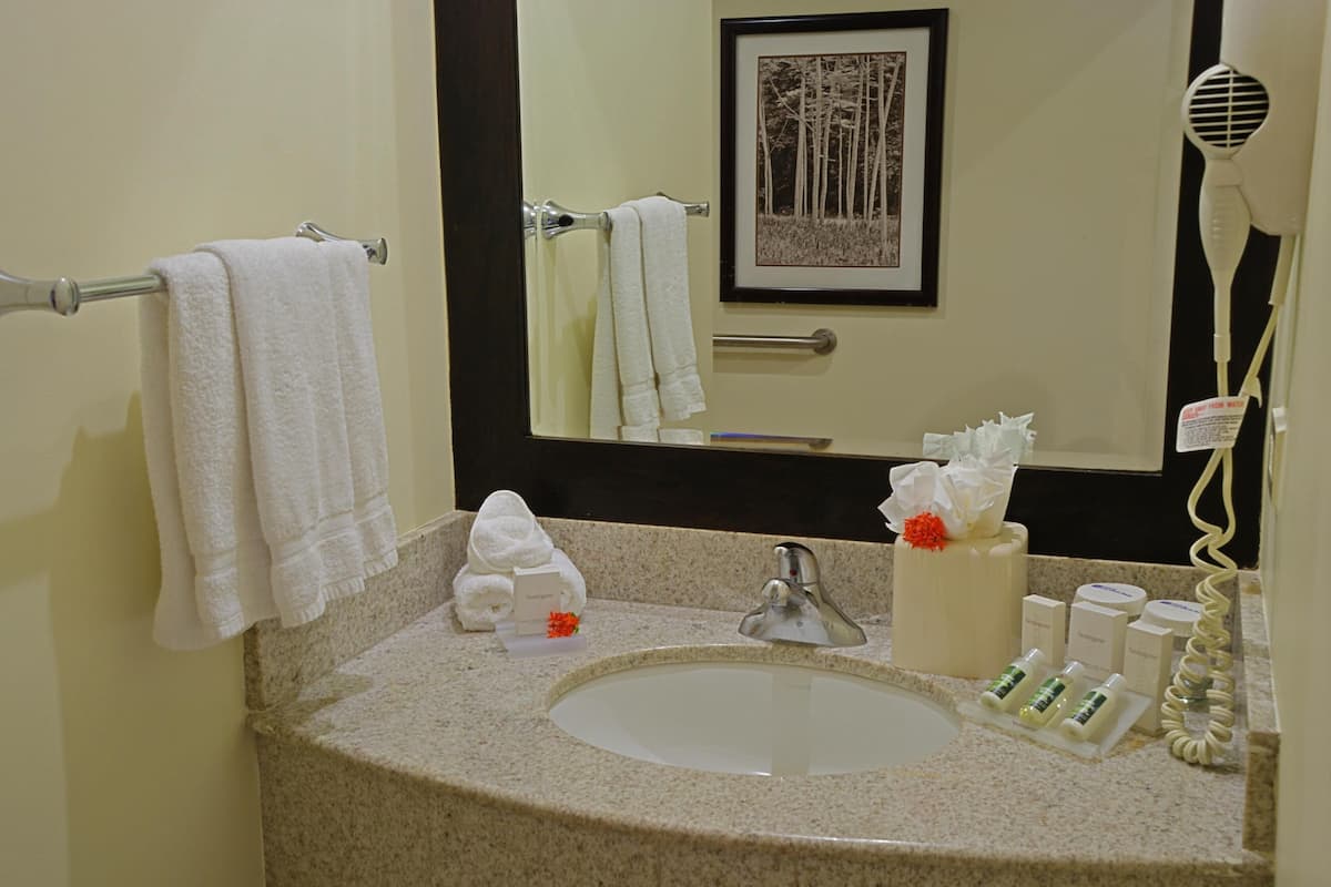 Evolution, Habitación, 1 cama de matrimonio grande, accesible para personas con discapacidad | Baño | Artículos de higiene personal gratuitos, secador de pelo y toallas