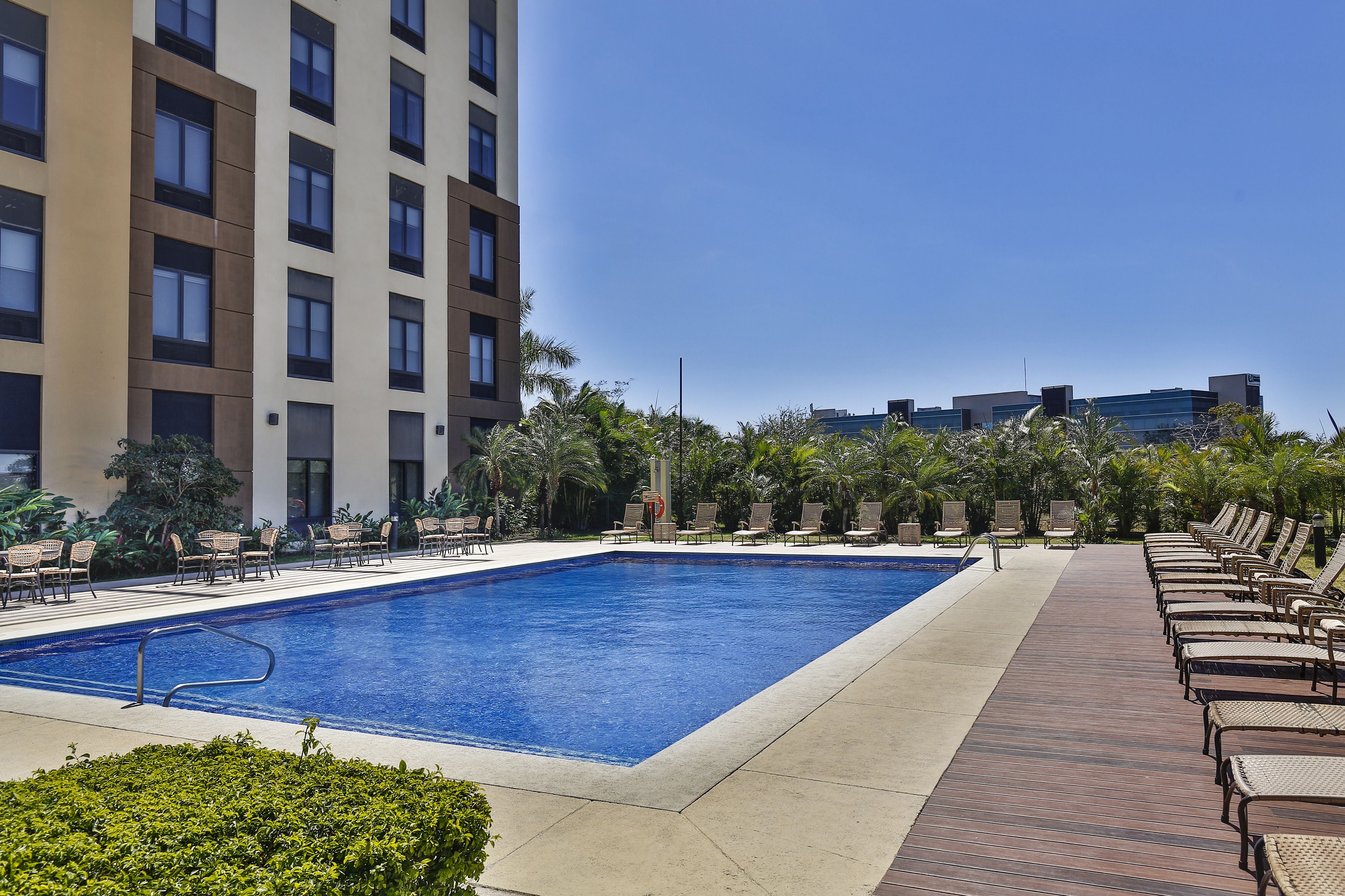 Ein rechteckiger Pool mit Liegestühlen und Palmen.