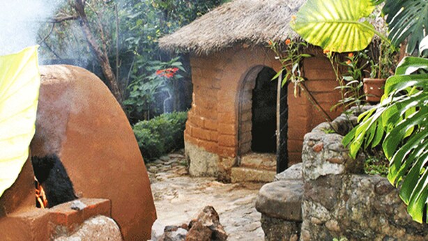 A rustic building with a thatched roof, surrounded by greenery and rocks.