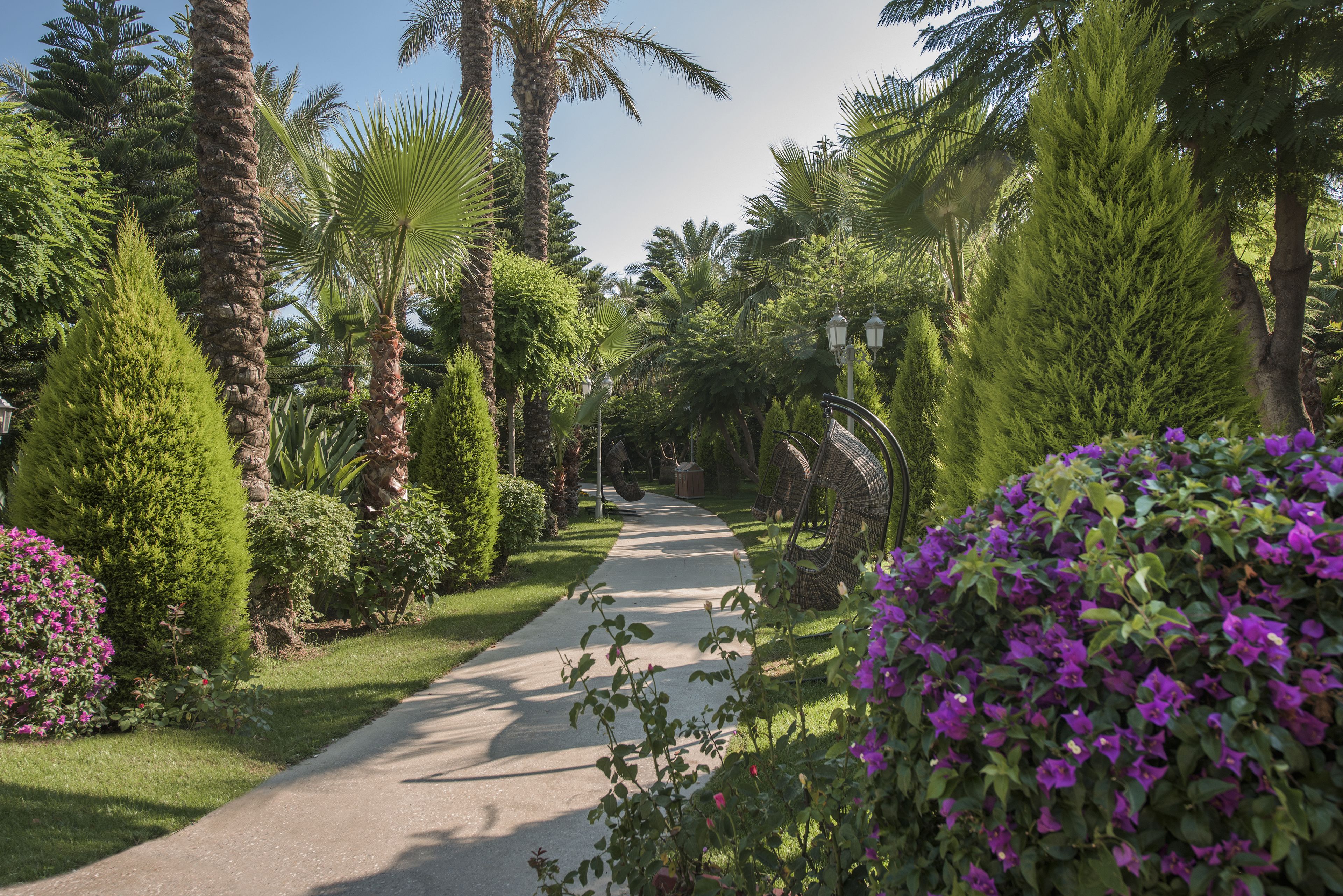 Photo - Delphin Diva Premiere