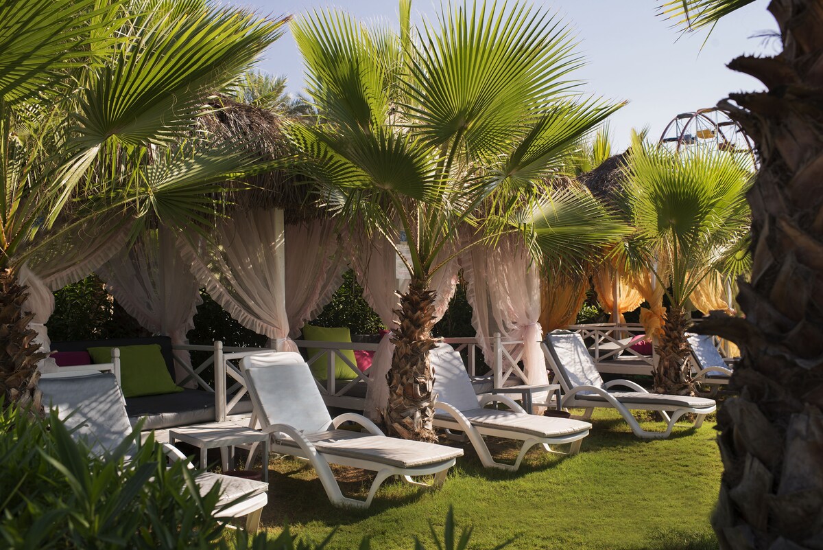 Delphin Diva Premiere Hotel Transfer