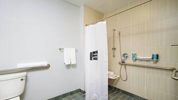 Une salle de bain équipée d’une douche, de toilettes et de barres d’appui.