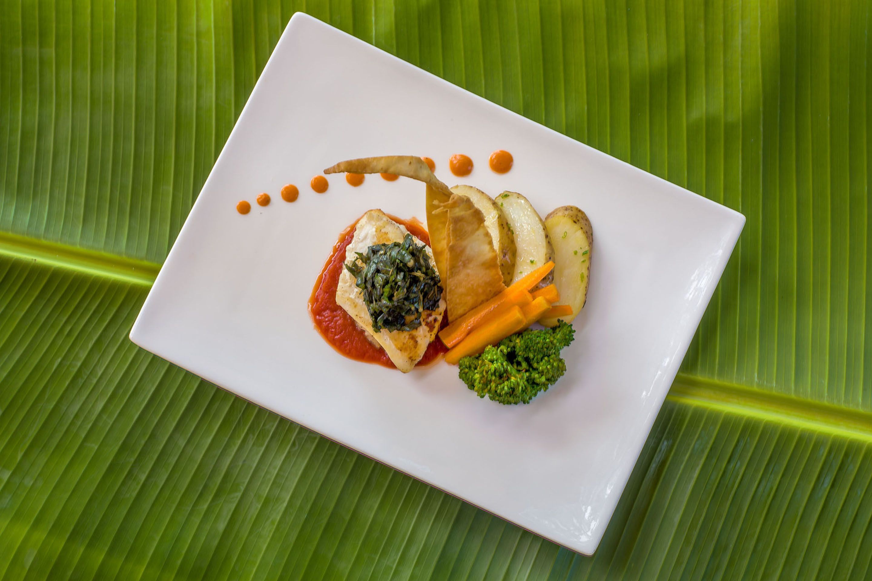 Une assiette rectangulaire blanche sur laquelle on voit un filet de poisson, des légumes et une sauce, le tout posé sur un fond de feuilles vertes.