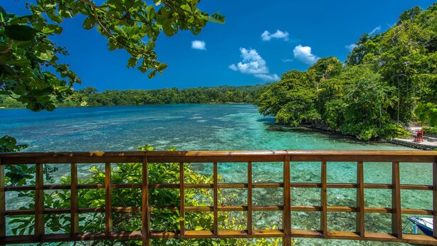 A wooden deck with a clear view of a tropical beach and lush greenery.