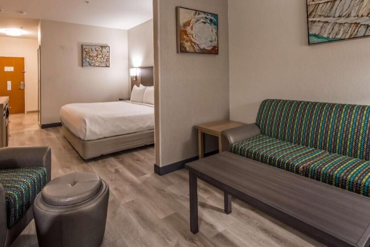A hotel room with a bed, a sofa, a small table, a chair, a desk, and a trash bin.