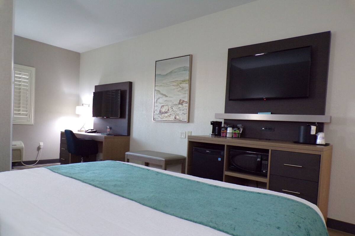A hotel room with a bed, a desk, a television, a microwave, and a small cabinet.