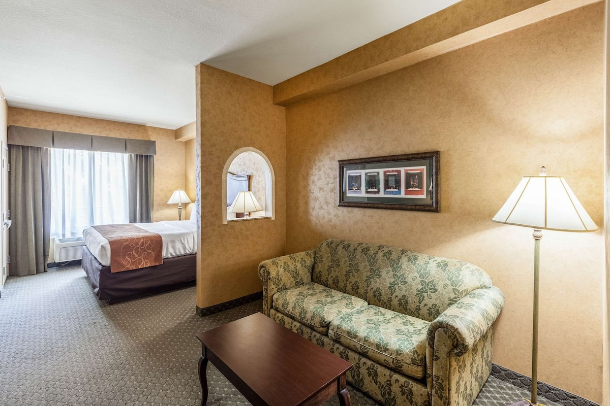 Une chambre d’hôtel avec un lit, un canapé, une table, une lampe et un tableau encadré au mur.