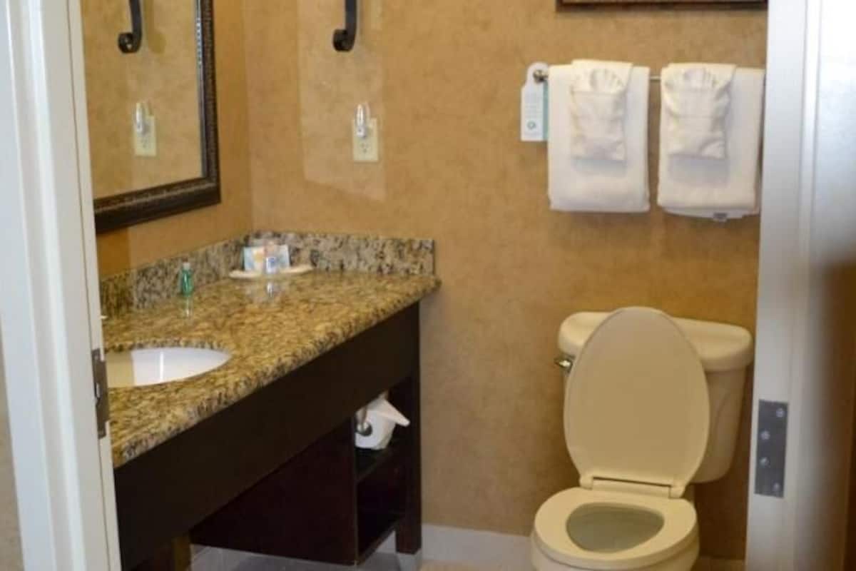 Baño | Amenidades de baño gratuitas, secadora de cabello, toallas